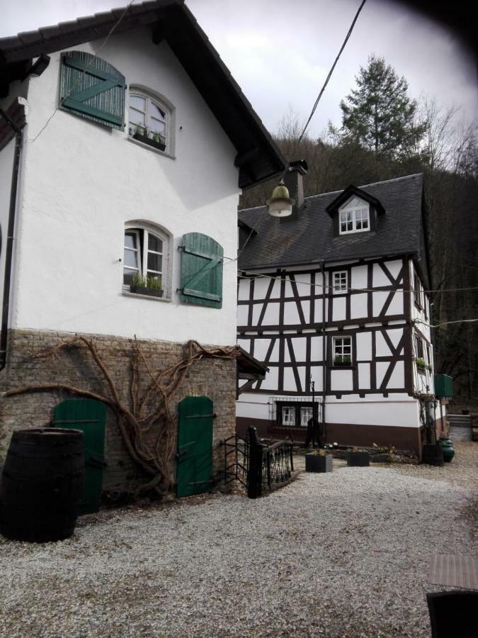 Mühle Braun Das Backhaus Apartment Sankt Goarshausen Bagian luar foto